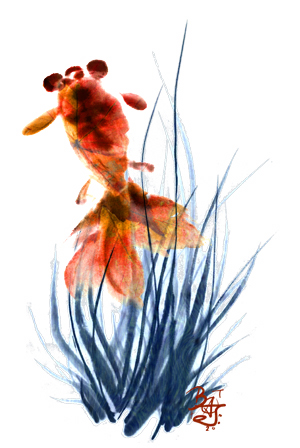 Goldfish