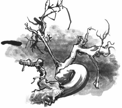 deadBonsai